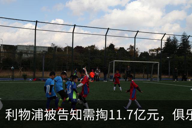 利物浦被告知需掏11.7亿元，俱乐部对转会进展感到“惊讶”